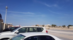 Qatar Skies 